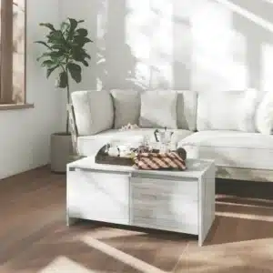 Table Basse en Bois Gris Sonoma avec Tiroirs