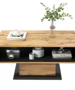 Table Basse Haute Bois Massif Noir et Bois