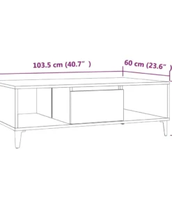 Table Basse en Chêne Sonoma Gris avec Rangements