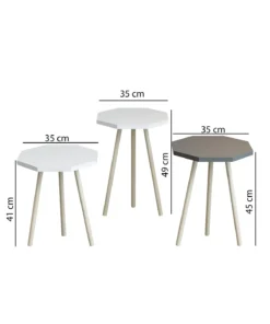 Ensemble de 3 Tables Basses Octogonales Nordique en Bois