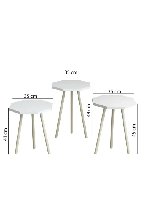 Ensemble de 3 Tables Basses Octogonales Nordique en Bois