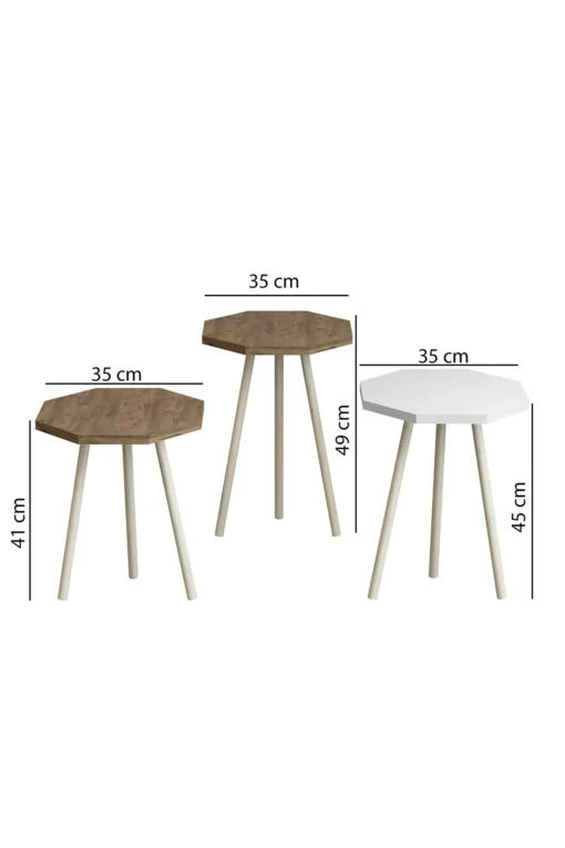 Ensemble de 3 Tables Basses Octogonales Nordique en Bois